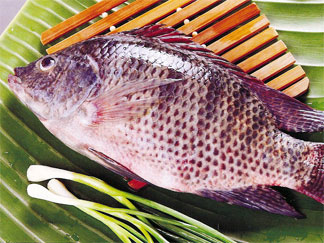 Whole fish